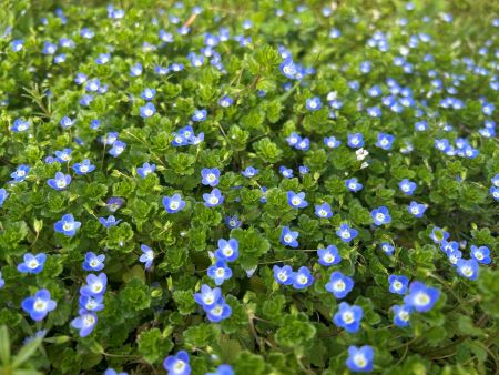 微信圖片_20250402145537