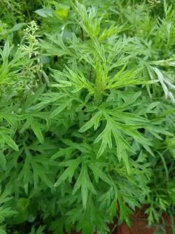 微信圖片_20250521160850