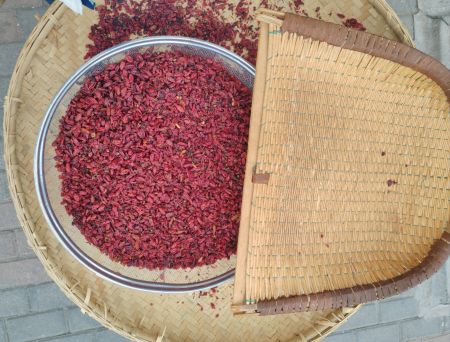 85408034dd607ef9ed02af3d687d240