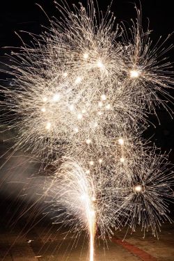 微信圖片_20260227102515 微信圖片_20260227102515