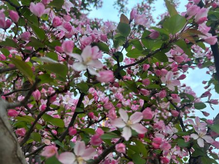 微信圖片_20260401162953 微信圖片_20260401162953